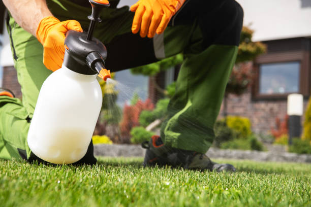 Reliable Northlake, TX Pest Control Solutions